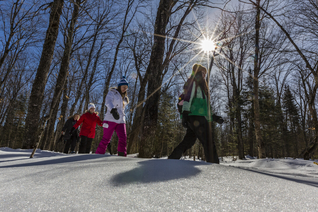 Sault Ste. Marie Guided Snowshoe Tours Northern Ontario Travel